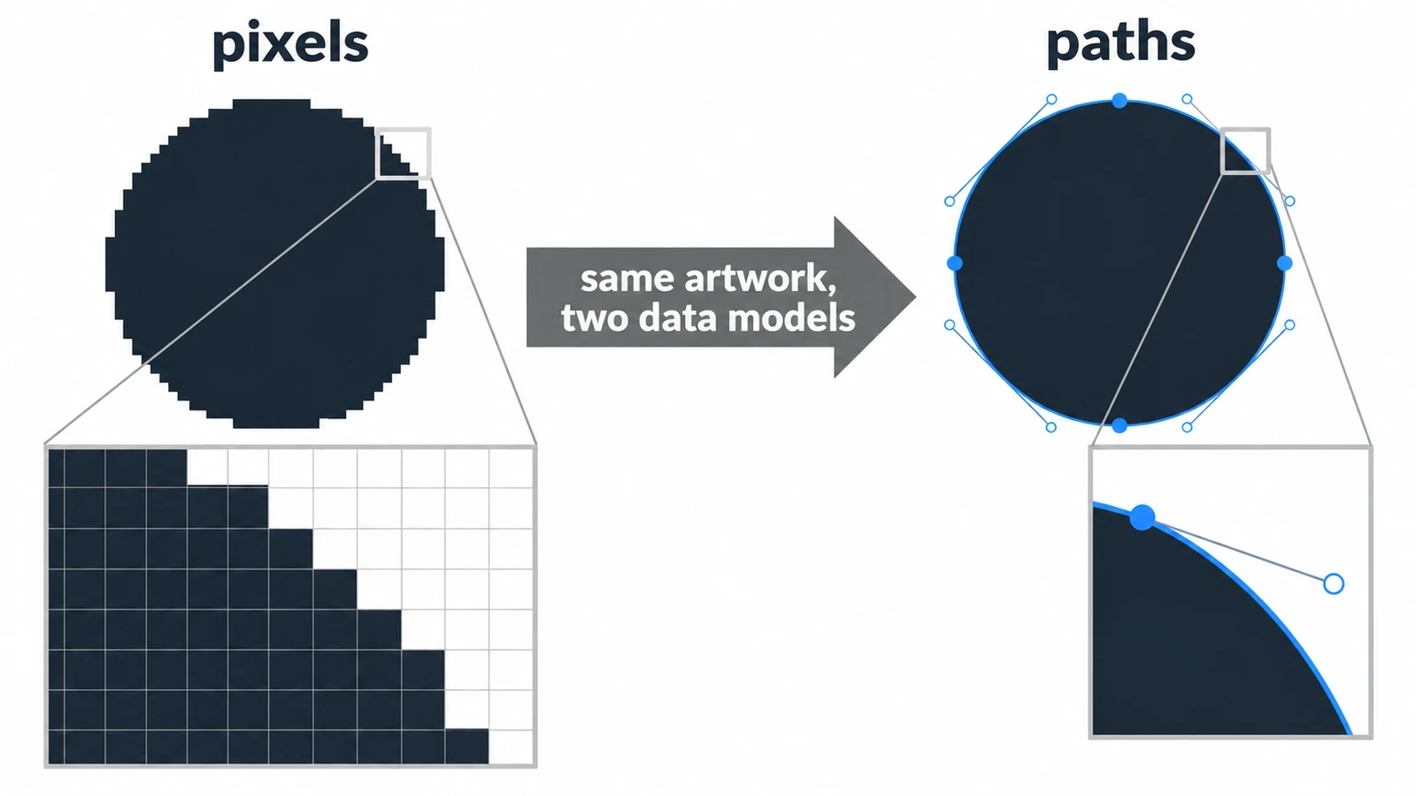 Raster vs Vector Images: What's the Difference?